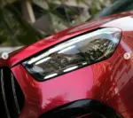 GSWF Maroon Metallic (Dry-Apply)